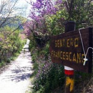 La Sosta B&B Stroncone Bagian luar foto